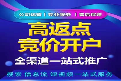 某电商平台的SEM运营实战与效果分析